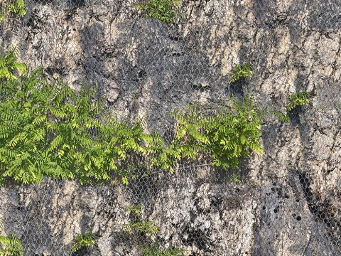  无缝灰色文化石墙岩石材墙面山体悬崖 