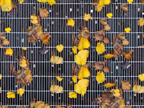  无缝枯黄枯枝落叶树叶草皮草地草坪道路地面 