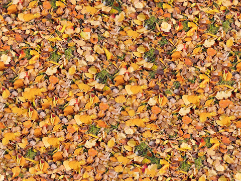  无缝枯黄枯枝落叶树叶草皮草地草坪道路地面 