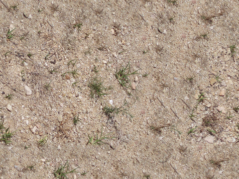  无缝枯黄草皮草地沙子土壤沙土泥土地面 