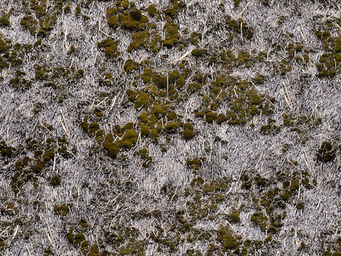  无缝干枯干草稻草茅草屋顶墙面 