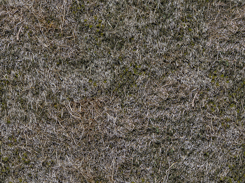  无缝干枯干草稻草茅草屋顶墙面 