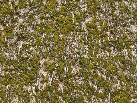  无缝干枯干草稻草茅草屋顶墙面 