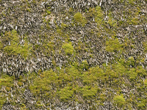  无缝干枯干草稻草茅草屋顶墙面 