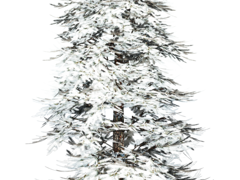  免抠冬季干枯的景观树行道树乔木植物 