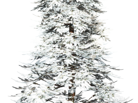  免抠冬季干枯的景观树行道树乔木植物 