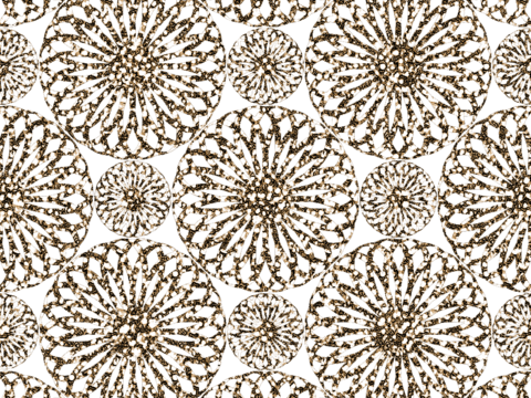  无缝免扣蕾丝质地布纹布料面料 