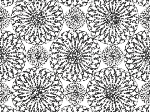  无缝免扣蕾丝质地布纹布料面料 