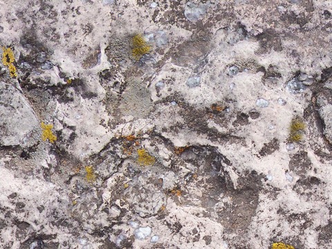  无缝灰色山体苔藓岩石材墙面 