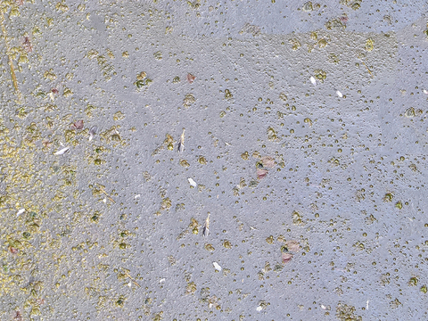  无缝河道水波纹水面水池纹理 