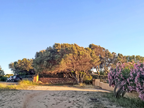  蓝色天空的乡村景观风景 