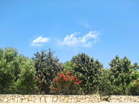  蓝色天空的乡村景观风景 