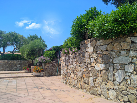  蓝色天空的乡村景观风景 