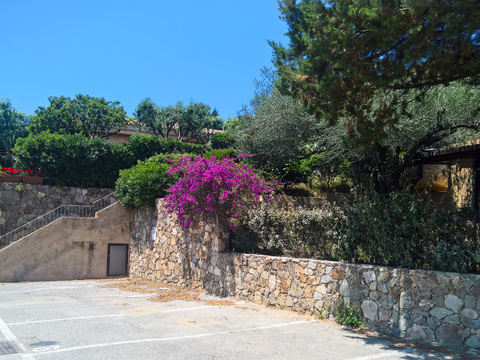  蓝色天空的乡村景观风景 