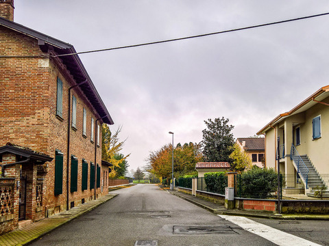  秋天的树木街道路面风景 