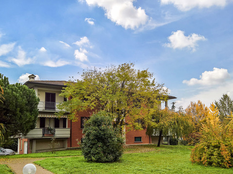  秋天的树木街道路面风景 