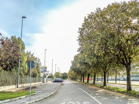  葡萄园种植园景观风景 