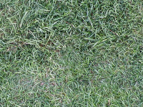  无缝枯黄枯枝落叶树叶草皮草地草坪道路地面 