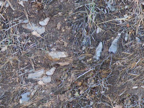  无缝枯黄枯枝落叶树叶草皮草地草坪道路地面 