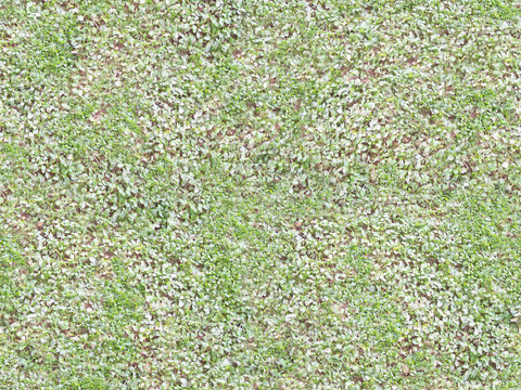  无缝枯黄枯枝落叶树叶草皮草地草坪道路地面 