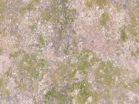  无缝枯黄枯枝落叶树叶草皮草地草坪道路地面 