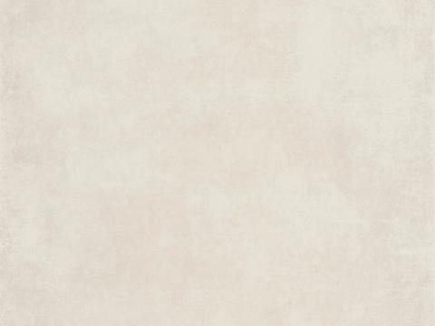  涂料 艺术漆 肌理漆 微水泥 