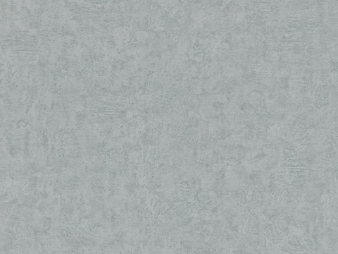  深灰色肌理漆 