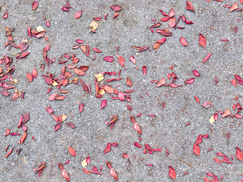 无缝灰色水泥沥青柏油路地面公路马路