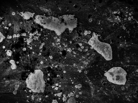  水渍污迹 黑白贴图 黑白凹凸 