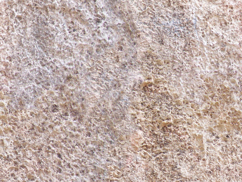  无缝灰色毛石板文化石墙岩石材墙面 