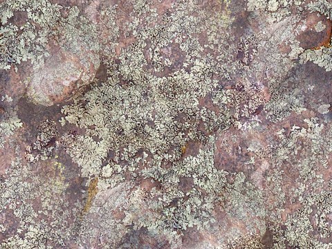  无缝灰色毛石板文化石墙岩石材墙面 