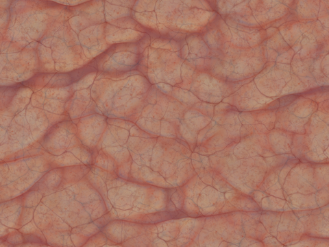  现代脑花 内脏 灰度 凹凸 粗糙度 环境光遮罩 高清 无缝 