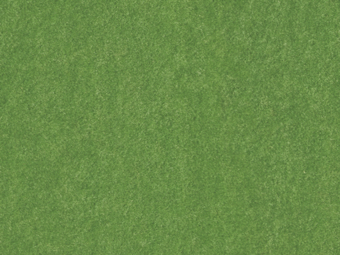  草地草坪草皮地面 