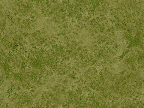  现代自然地面 草坪 景观地面 苔藓 草坪 草皮 