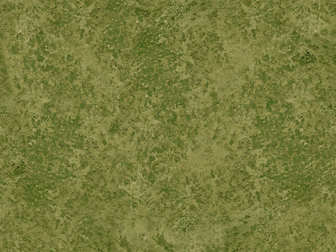  现代草坪 景观地面 苔藓 草地 草皮 