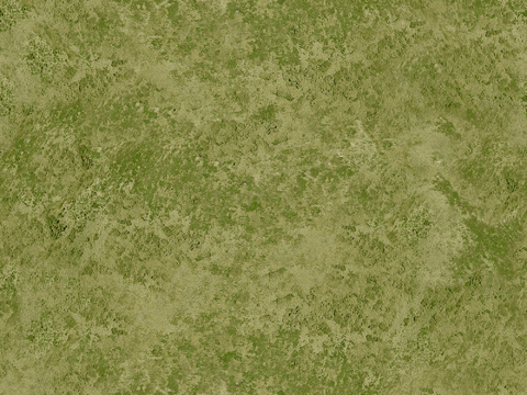  现代自然地面 草坪 景观地面 苔藓 草坪 草皮 