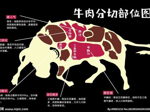  牛排分布图食物贴图 