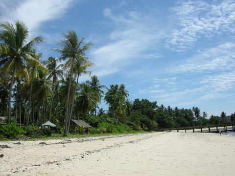  白天自然风景外景 