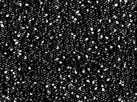  无缝羊羔绒羊羔毛黑白凹凸无缝毛呢呢子黑白凹凸 