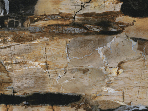  高清木纹石残旧木 