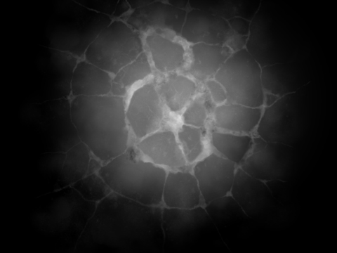  破碎裂纹黑白贴图 黑白凹凸贴图 