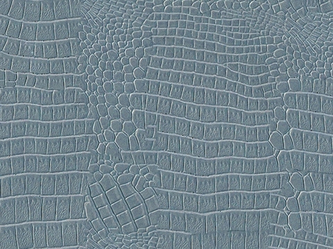  鳄鱼皮纹理 