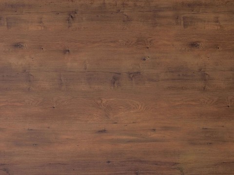  罗马古橡 