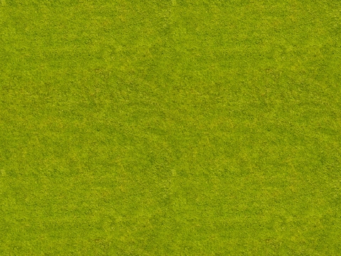  无缝草坪草坡草皮 