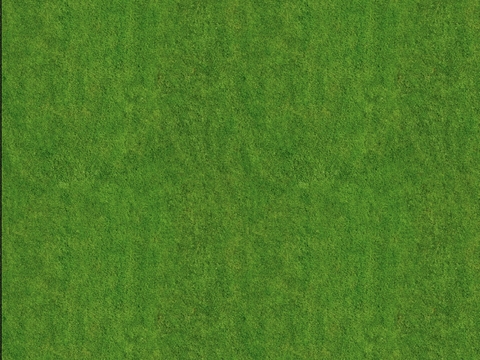  无缝草坪草坡草皮 