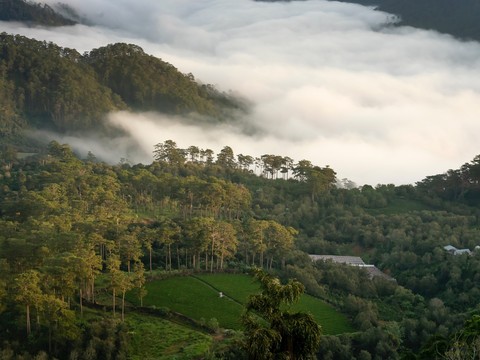  窗外景 自然风景 