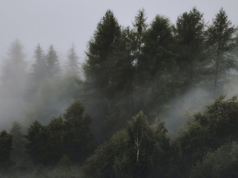  自然风景窗外景 