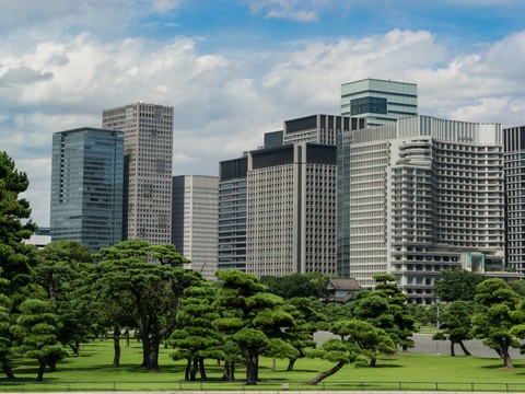  城市户外风景贴图 