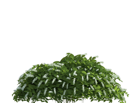  植物树木绿植 