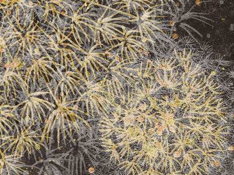  现代简约装饰画 